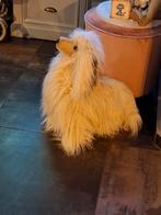 Mooie grote hond, Ophalen of Verzenden, Hond