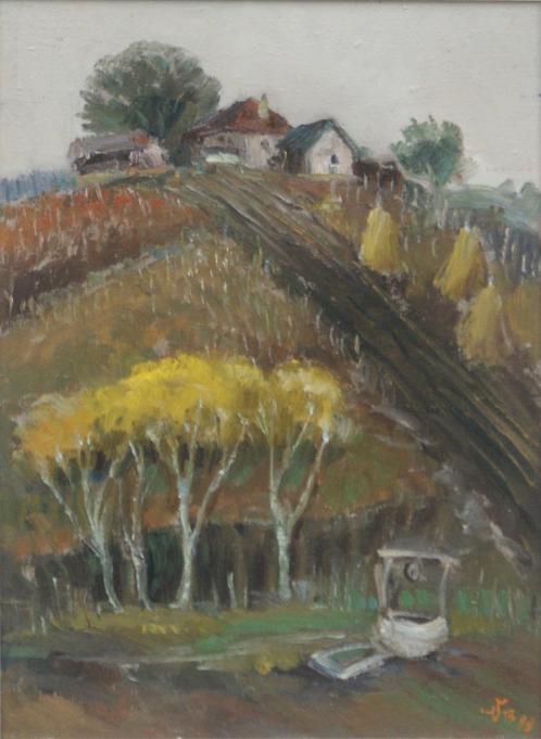 Vasile Buz (1935): Landschap Roemenië (O/D, 48 x 64 cm), Antiek en Kunst, Kunst | Schilderijen | Klassiek, Ophalen of Verzenden