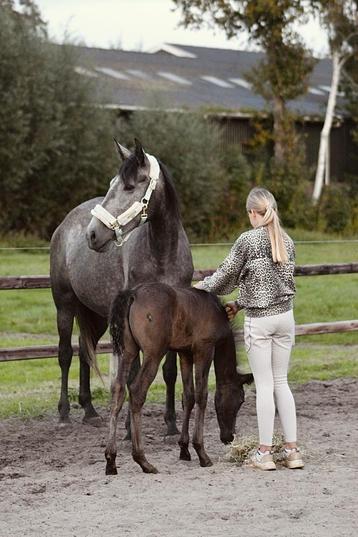 ## SUPER LEUKE, knappe en lieve moeder & zoon ## beschikbaar voor biedingen