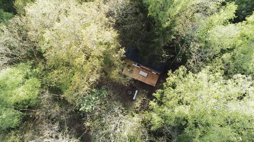Tiny house in het bos te Viroinval tot 4 prs met barrelsauna, Vakantie, Vakantiehuizen | België, Henegouwen of Namen, Chalet, Bungalow of Caravan
