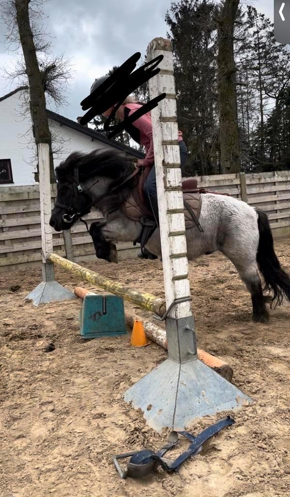 Ruiter gezocht, Doe-het-zelf en Bouw, Ladders en Trappen, Zo goed als nieuw, Ophalen