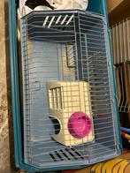 Caviakooi, Ophalen, Gebruikt, Kooi, Cavia