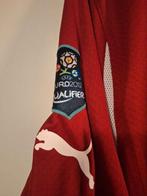 Matchworn voetbalshirt, Kleding | Heren, Maat 52/54 (L), Verzenden, Voetbal, Gedragen