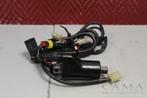 BOBINE Ducati 750 SS 1999-2007 (750SS) (BAE850), Motoren, Gebruikt
