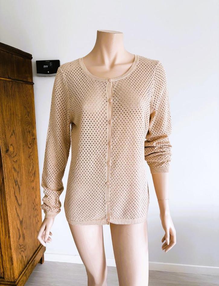 Talking French cardigan – Maat XL – subtiel glanzend, Kleding | Dames, Truien en Vesten, Zo goed als nieuw, Maat 42/44 (L), Beige