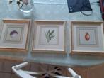 Lot : 3 cadres décor de légumes - 31 X 31,5 cm, Enlèvement ou Envoi