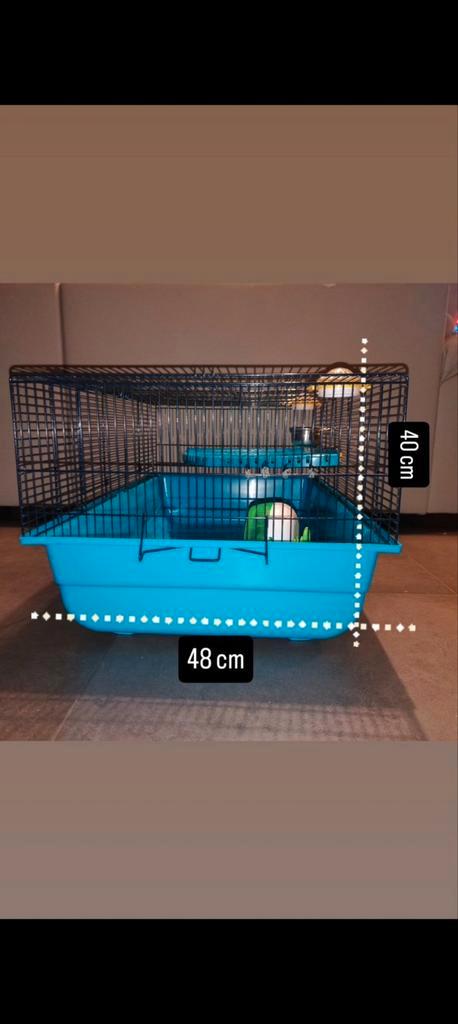 Hamster kooi, Dieren en Toebehoren, Knaagdieren en Konijnen | Hokken en Kooien, Zo goed als nieuw, Kooi, Hamster, Ophalen