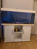 Aquarium met alle toebehoren TE KOOP, Ophalen, Gebruikt