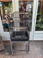 Papagaai/ parkieten kooi, Ophalen, Metaal, Vogelkooi