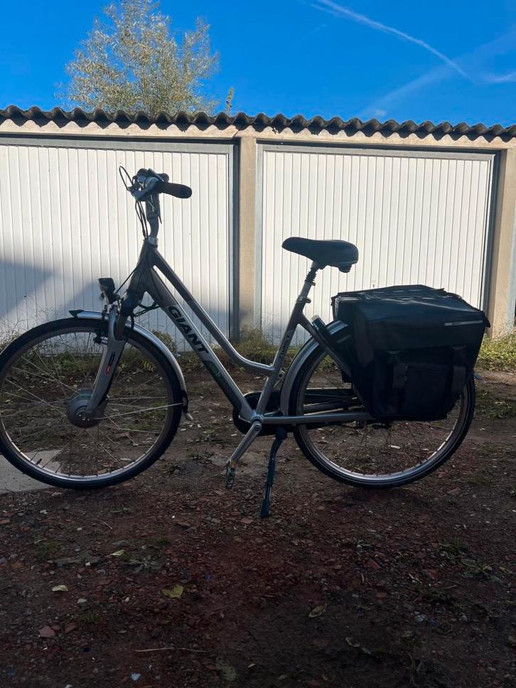 Elektrische fiets giant met dubbele baterijen, Fietsen en Brommers, Elektrische fietsen, Ophalen