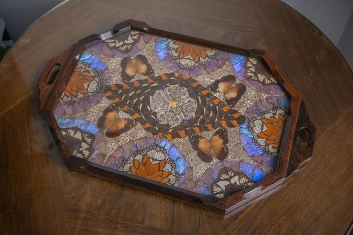 Plateau Butterfly, Antiquités & Art, Antiquités | Autres Antiquités, Enlèvement ou Envoi