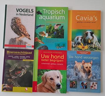 Boeken Dieren  beschikbaar voor biedingen