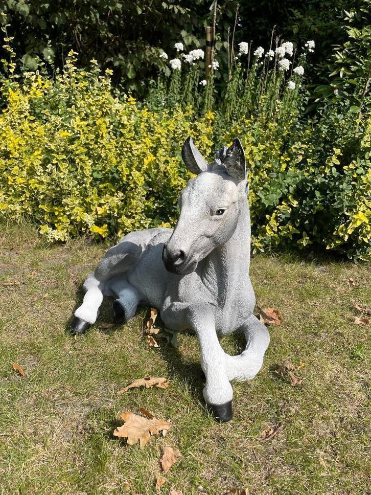 Paard veulen liggend tuin gazon manege 65cm, Tuin en Terras, Tuinbeelden, Nieuw, Dierenbeeld, Kunststof, Ophalen