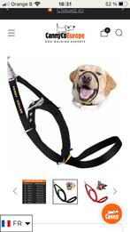 Collier chien anti-traction CANNY COLLAR taille 3/ noir, Dieren en Toebehoren, Honden-accessoires, Ophalen, Zo goed als nieuw
