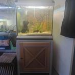 Grote mooie aquarium, Ophalen, Zo goed als nieuw