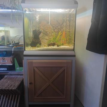 Grote mooie aquarium  beschikbaar voor biedingen