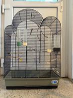 Vogelkooi, Enlèvement, Cage à oiseaux