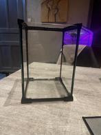 Terrarium, Dieren en Toebehoren, Reptielen en Amfibieën | Toebehoren, Ophalen, Zo goed als nieuw, Terrarium of Paludarium