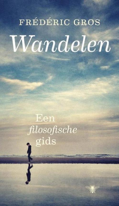 Te Koop Boek WANDELEN Frédéric Gros, Livres, Philosophie, Comme neuf, Général, Enlèvement ou Envoi