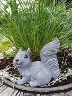 eekhoorn , tuinbeeld, Tuin en Terras, Tuinbeelden, Ophalen of Verzenden, Nieuw, Beton, Dierenbeeld