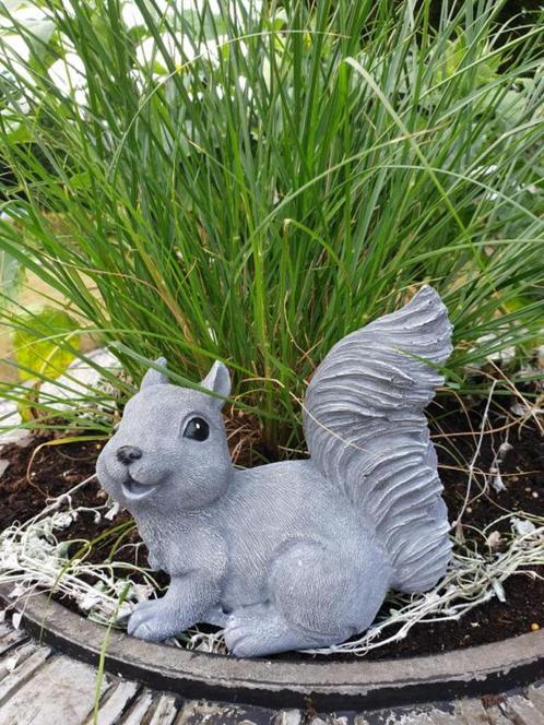 eekhoorn , tuinbeeld, Tuin en Terras, Tuinbeelden, Nieuw, Dierenbeeld, Beton, Ophalen of Verzenden