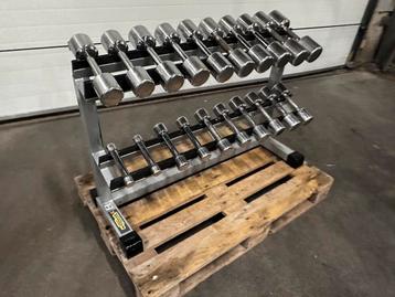 Technogym  Dumbells 1kg t/m 10kg + Technogym Opbergrek beschikbaar voor biedingen