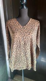 Truien 2stuks  maat XL, Kleding | Dames, Topjes, Ophalen, Zo goed als nieuw, Maat 46/48 (XL) of groter