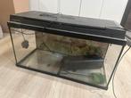 Juwel Aquarium met pomp zonder licht- gratis, Dieren en Toebehoren, Ophalen, Zo goed als nieuw