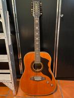 Akoestische 12 snarige gitaar, Ophalen, Gebruikt, 12-snarig