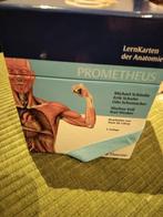 Lernkarten der anatomie, Boeken, Ophalen, Gelezen, Overige vakken, Thieme