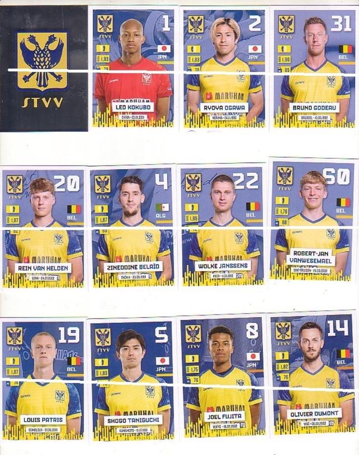 Panini Pro League 2024 - 2025 / STVV St Truiden / 25 sticker, Verzamelen, Sportartikelen en Voetbal, Nieuw, Poster, Plaatje of Sticker