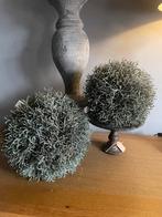 Groen/ grijs kunststof bol van Calocephalus Brownii, Neuf, Enlèvement ou Envoi, ., .