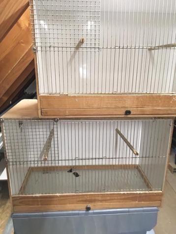 Cages à oiseaux à vendre  disponible aux enchères