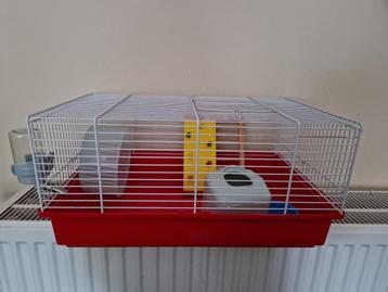 Hamsterkooi nieuw beschikbaar voor biedingen