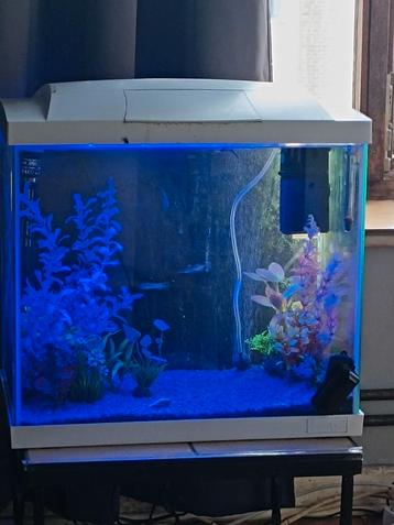 Aquarium complet  beschikbaar voor biedingen