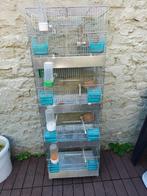 Kweek vogels kooi, Ophalen, Gebruikt, Metaal, Broedkooi of Kweekkooi