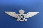 Pilootvleugel voor lichte luchtvaart, Ophalen of Verzenden, Luchtmacht, Embleem of Badge