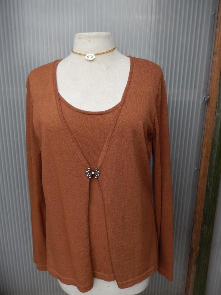 pulletje lichtbruin M 38/40, Kleding | Dames, Truien en Vesten, Gedragen, Maat 38/40 (M), Bruin, Ophalen of Verzenden