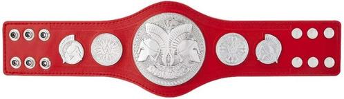 WWE Raw Tag Team Championship Replica Belt Wrestling Belt, Sport en Fitness, Vechtsporten en Zelfverdediging, Nieuw, Overige, Vechtsportmaterialen