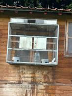 Sputnik pigeon, Dieren en Toebehoren, Postduif