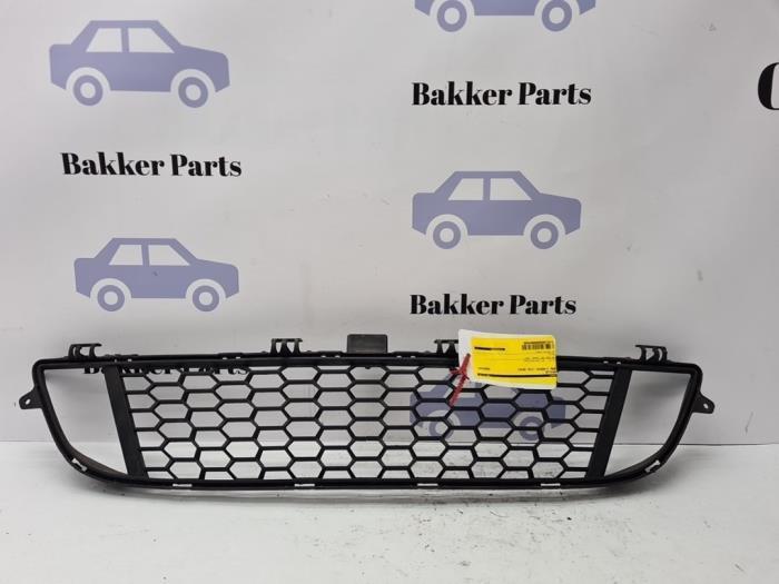 Grille van een BMW 2-Serie, Auto-onderdelen, Carrosserie, BMW, Gebruikt, 3 maanden garantie
