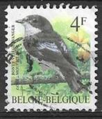 Belgie 1996 - Yvert 2647 /OBP 2654 - Bonte Vliegenvanger (ST, Postzegels en Munten, Postzegels | Europa | België, Verzenden, Gestempeld