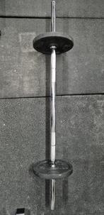 barre de musculation + 2 disques 5kg, Sport en Fitness, Fitnessmaterialen, Ophalen, Zo goed als nieuw, Rug, Halterstangen