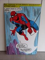 canvas print hardboard SPIDERMAN (retro), Huis en Inrichting, Ophalen, 75 cm of meer, 50 tot 75 cm, Print