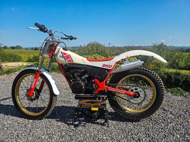 Yamaha ty 250 59N, Motoren, Motoren | Yamaha, Particulier, Ophalen