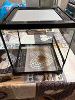 Startkit terrarium 30x30x30, Ophalen