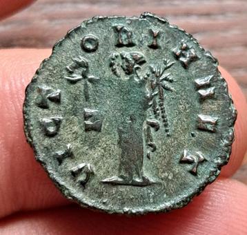 Gallienus - VICTORIA AET/Z - Rom beschikbaar voor biedingen