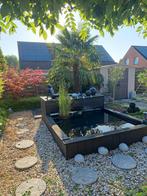 Visvijver alles er bij ZELF KOMEN UITBREKEN., Tuin en Terras, Ophalen, Gebruikt