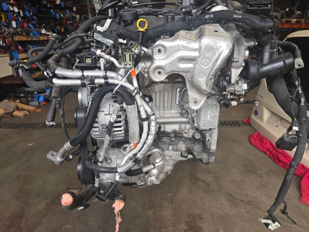 Moteur Ford Transit Connect 1.5 Ecobleu TDCI, Autos : Pièces & Accessoires, Moteurs & Accessoires, Ford, Enlèvement ou Envoi