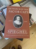 TWEE KUNSTBOEKEN OVER EEN DICHTER EN EEN SCHRIJVER, Ophalen, Zo goed als nieuw, Overige onderwerpen, Diverse auteurs